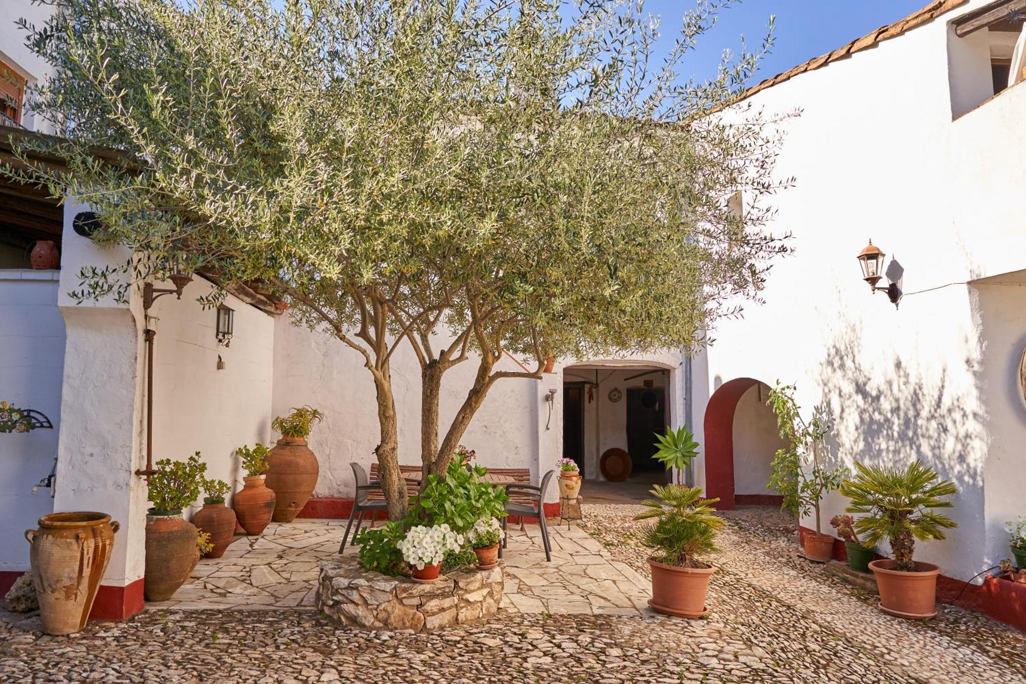 Zarzo Del Tragaluz Vila Fuenteheridos Exterior foto